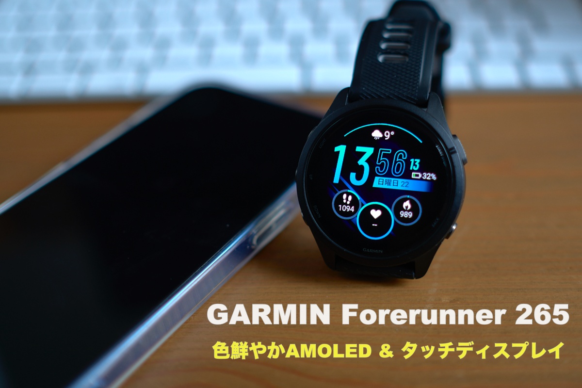 GARMIN 265 - レビュー