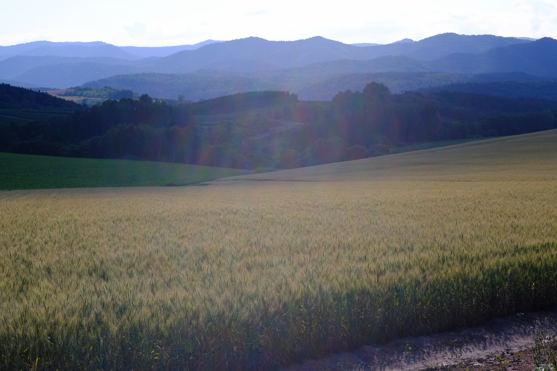 SMC PENTAX-M 50mm F17 風景　美瑛2