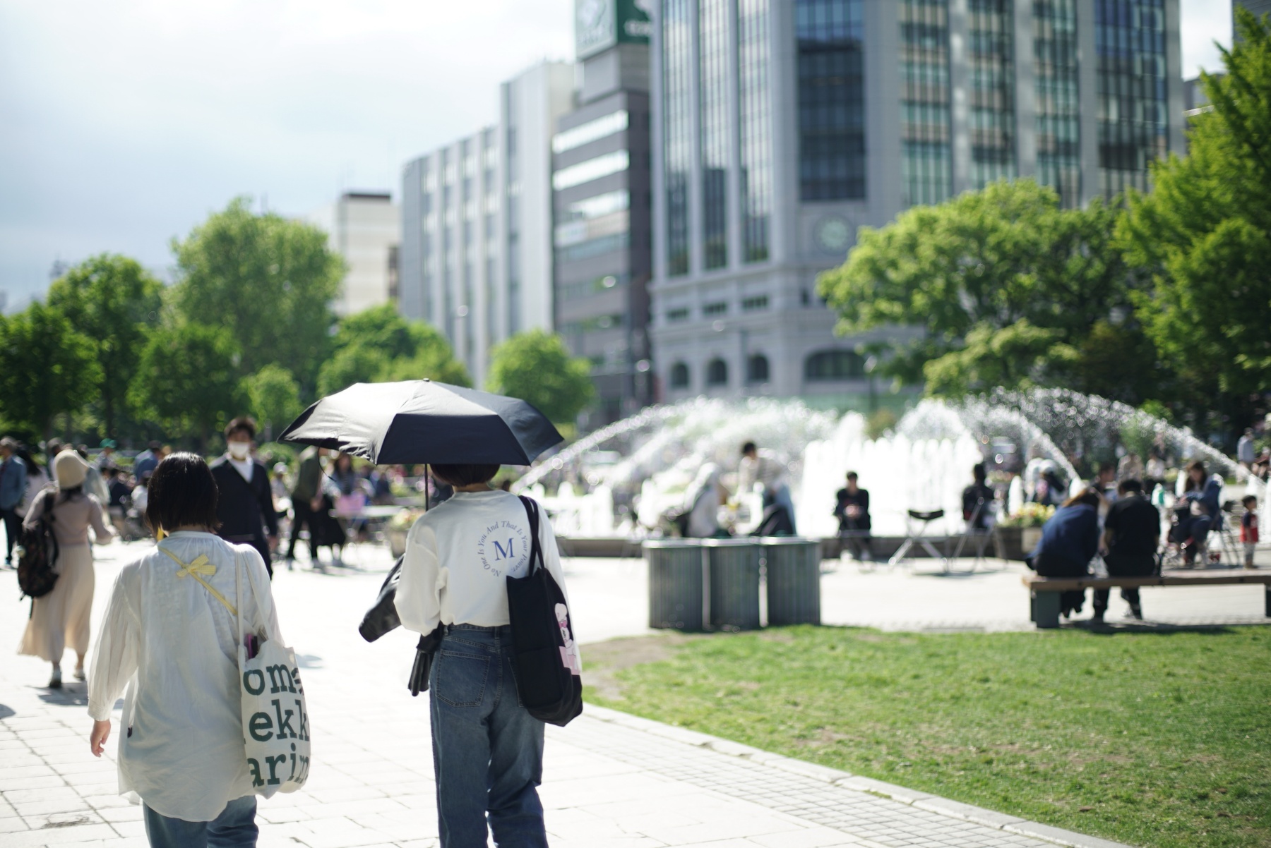 CONTAX Planar 1.4/50 AEJ スナップ2