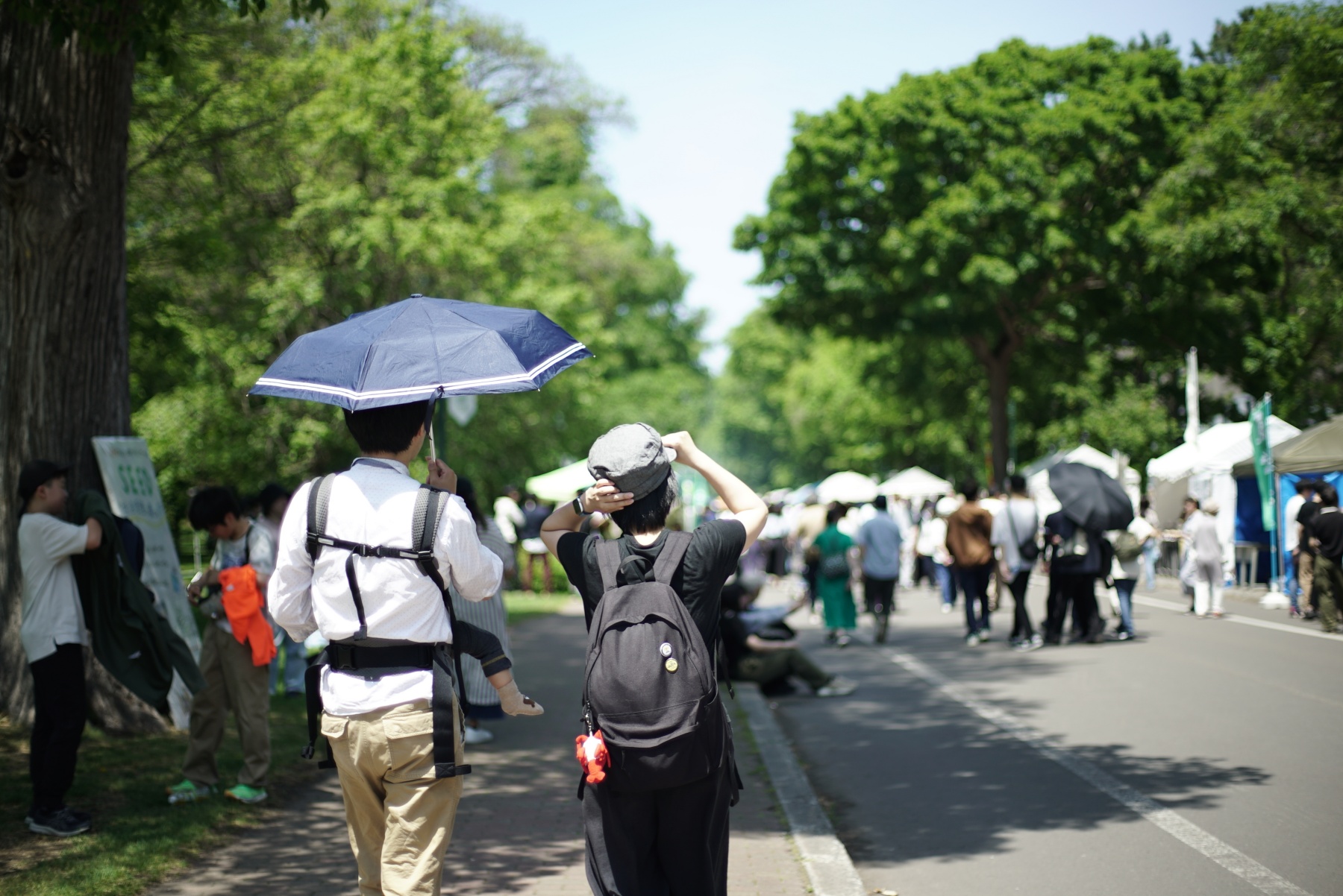 CONTAX Planar 1.4/50 AEJ スナップ5