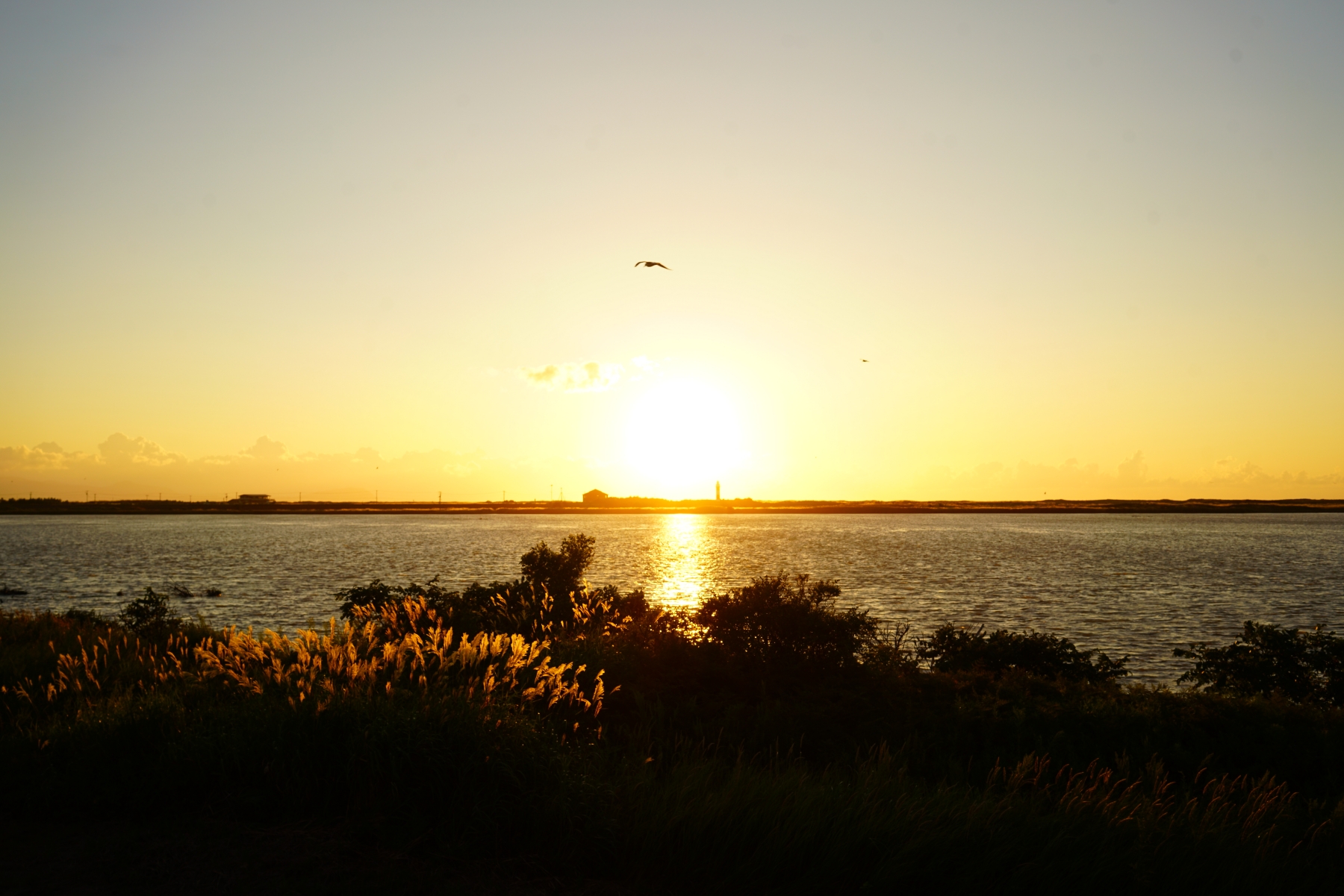 fe35f28za-α7rⅡと夕日