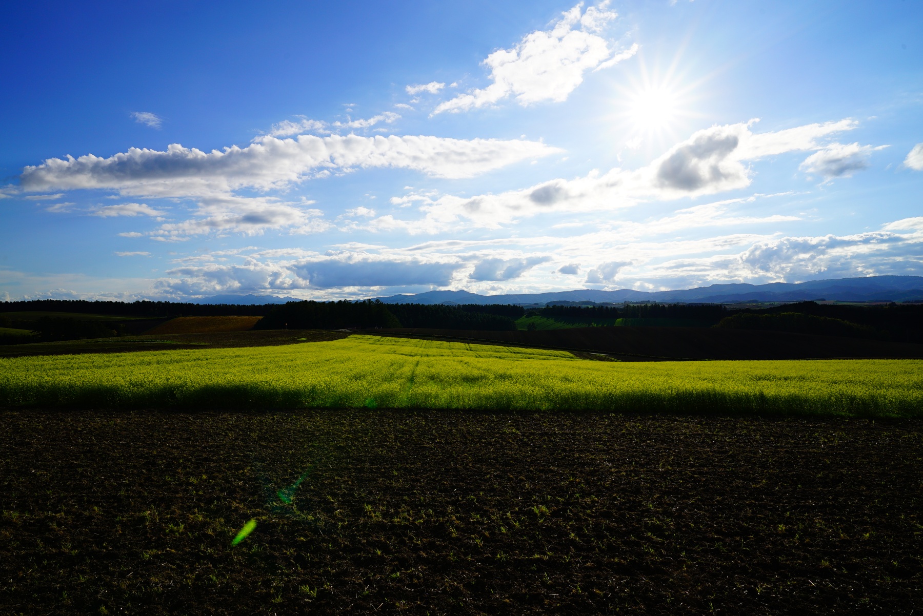 Tokina firin20mm f2 fe mf 作例3