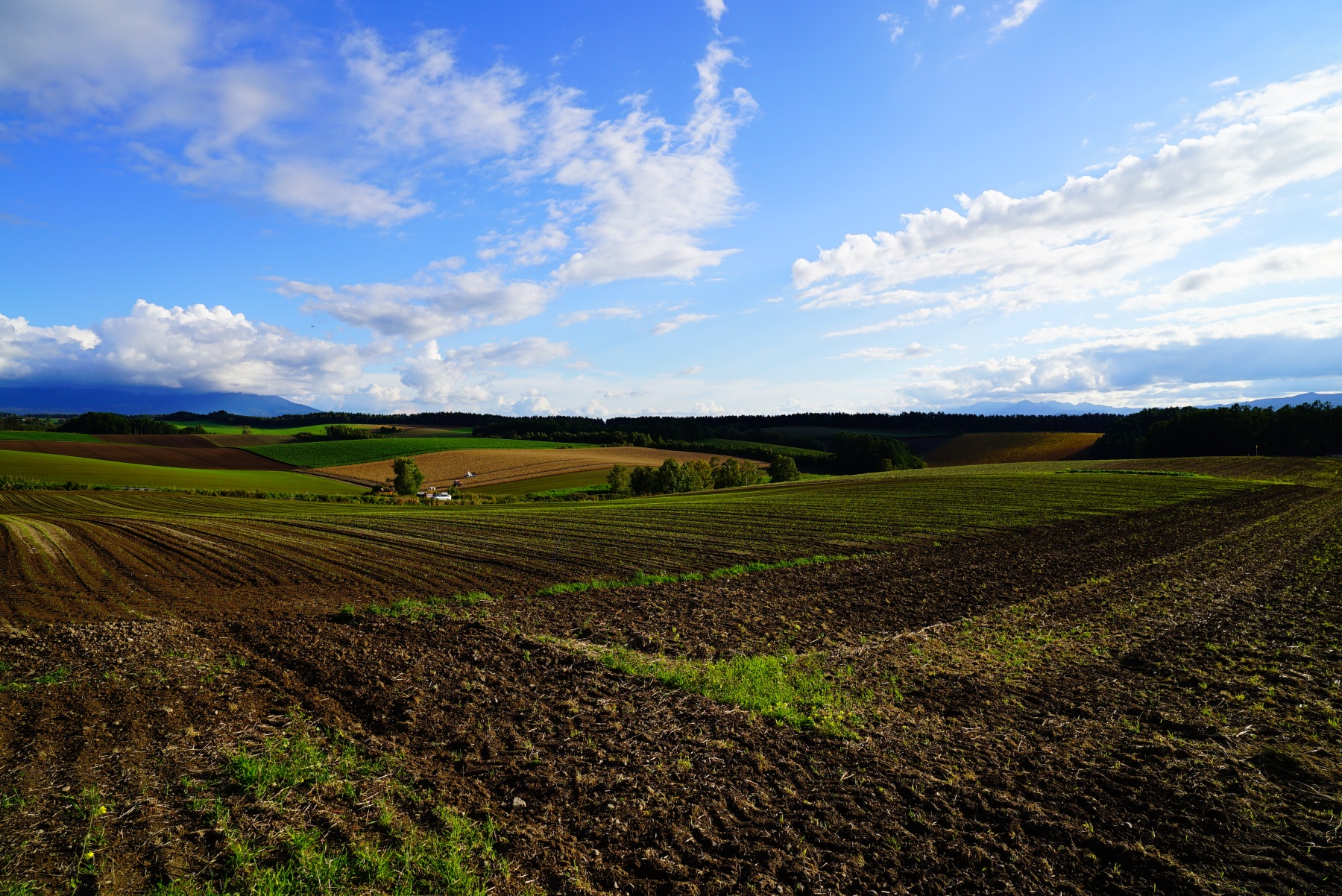 firin-20mm-f2-fe-mf-風景