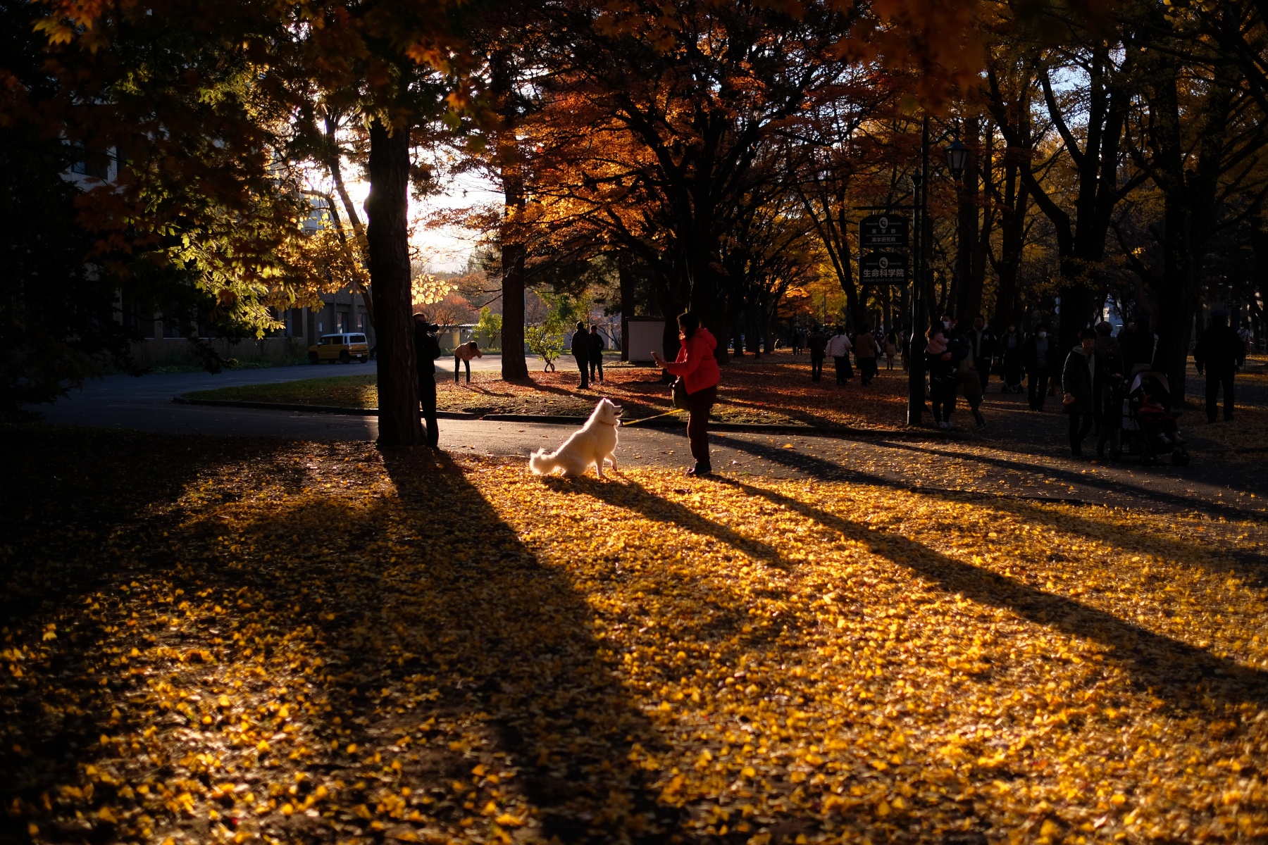 PROVIA XF23mm F1.4　作例12