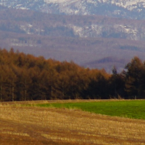 TAMRON 50-300mm a069 解像度_左隅