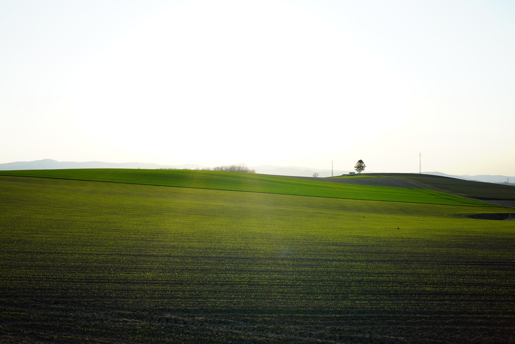 NOKTON classic 35mm F1.4 E-mount 風景
