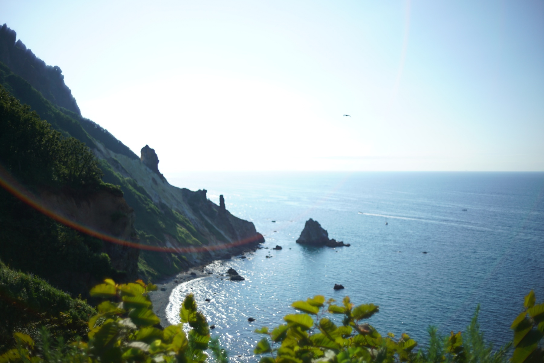 NOKTON classic 35mm F1.4 E-mount 作例-海-虹色フレア