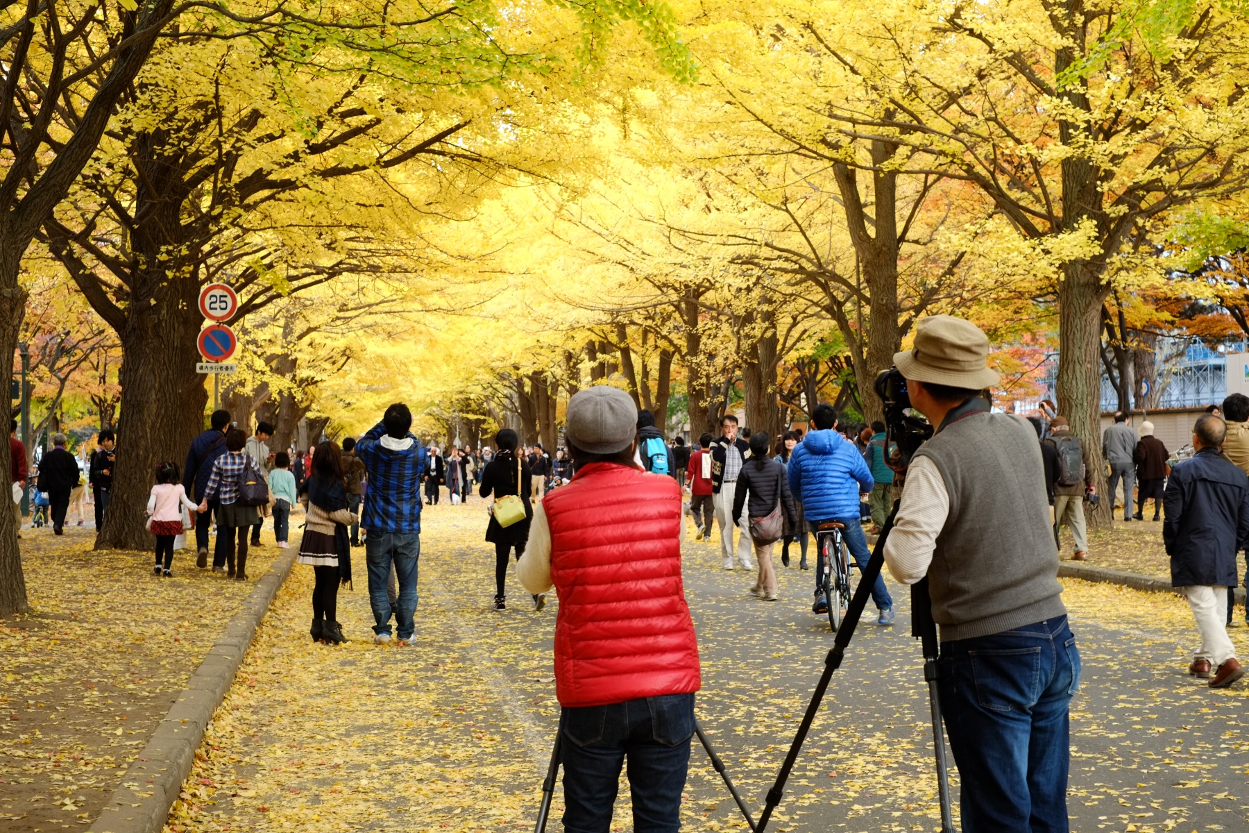 FUJIFILM X-PRO1