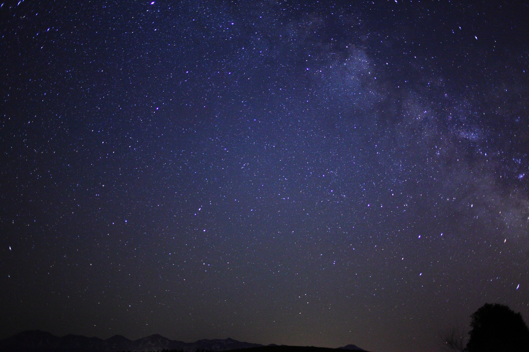 CANON EOS 5D Mark Ⅱ
