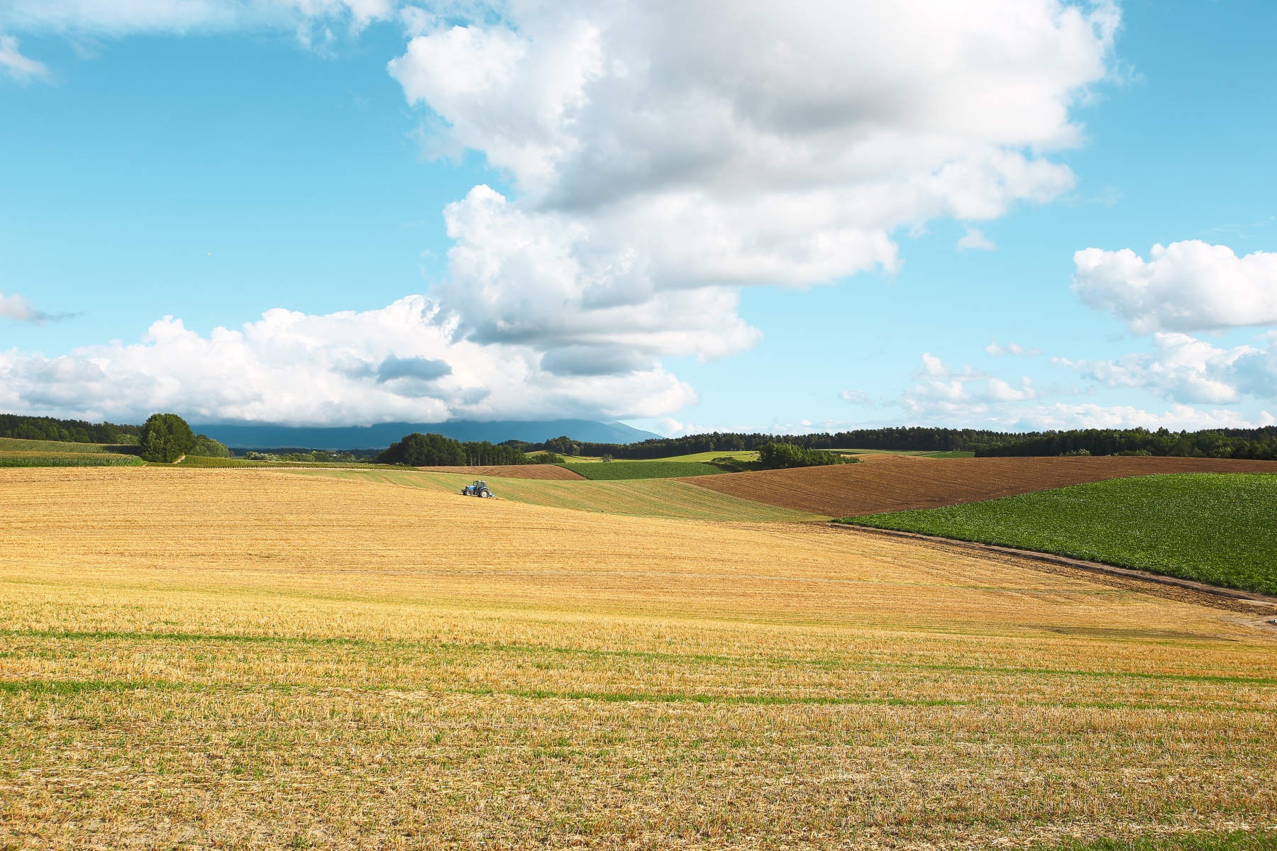 EF16-35mm F2.8L USM-35mm域サンプル