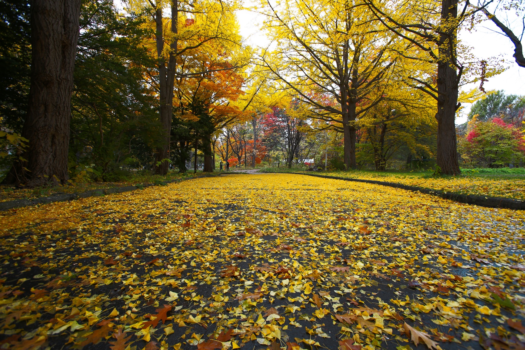 EF16-35mm F2.8L USM-周辺流れサンプル