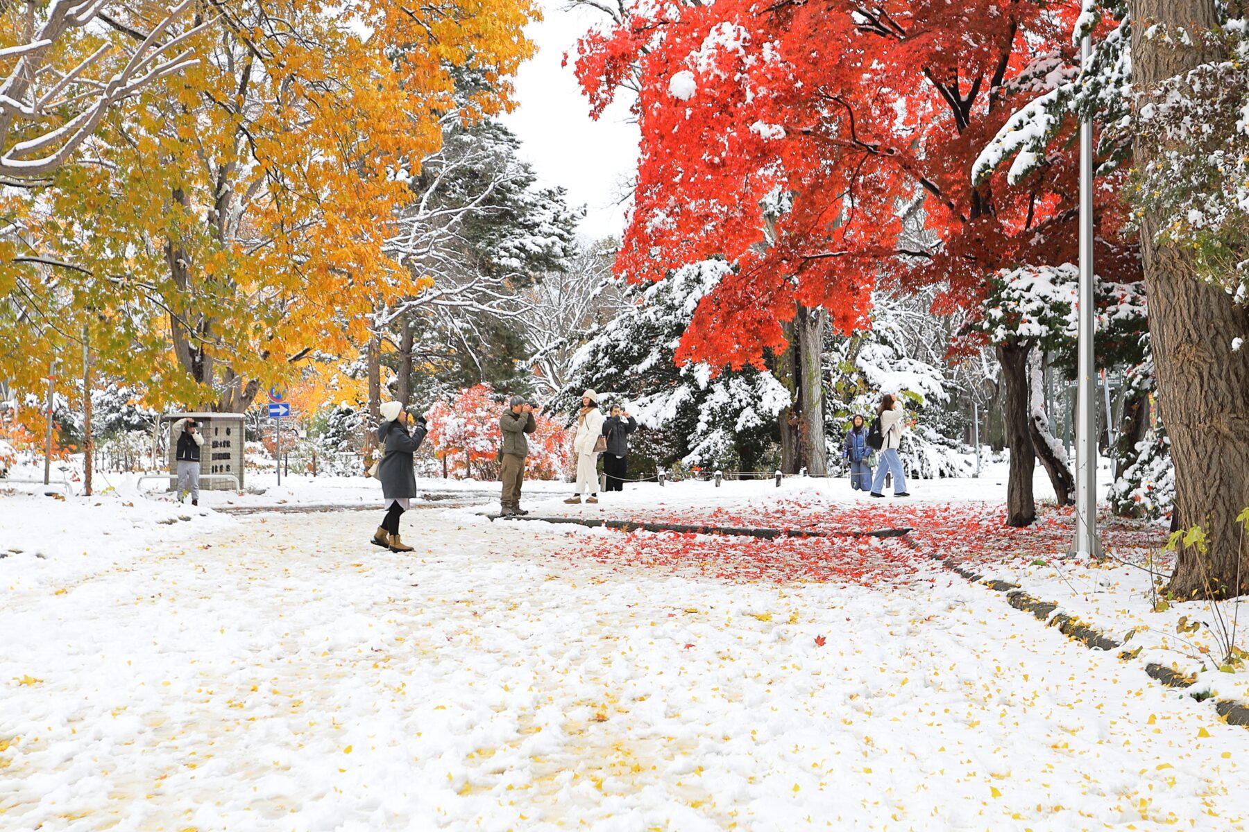 EF16-35mm F2.8L USM-雪と紅葉35mm