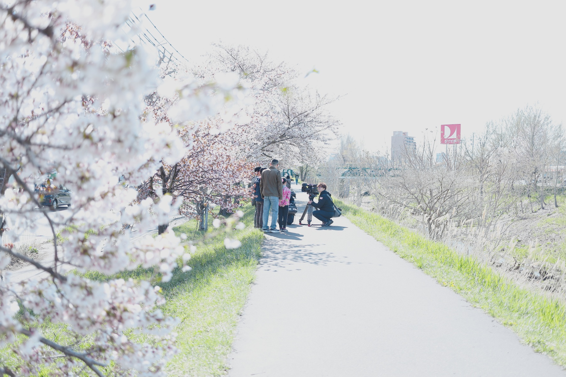 EF40mm-F28-STM-スナップ4