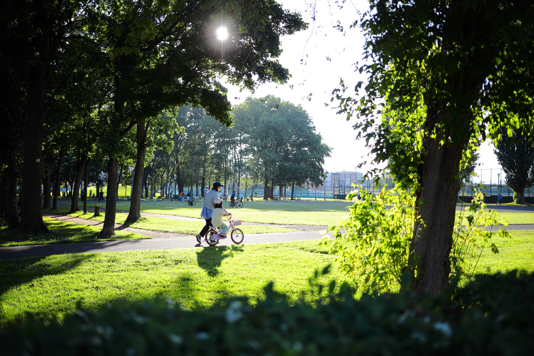 EF40mm-F28-STM-スナップ-公園