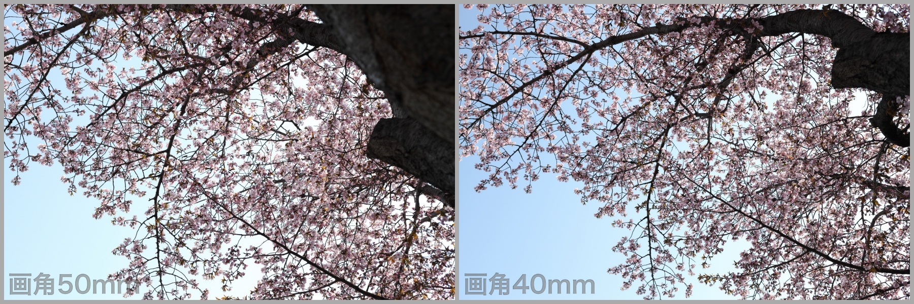 EF40mmF28-画角比較