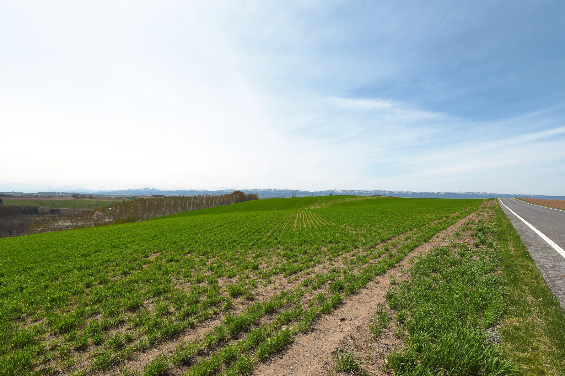 EF16-35-F4L-IS-USM-美瑛-16mm