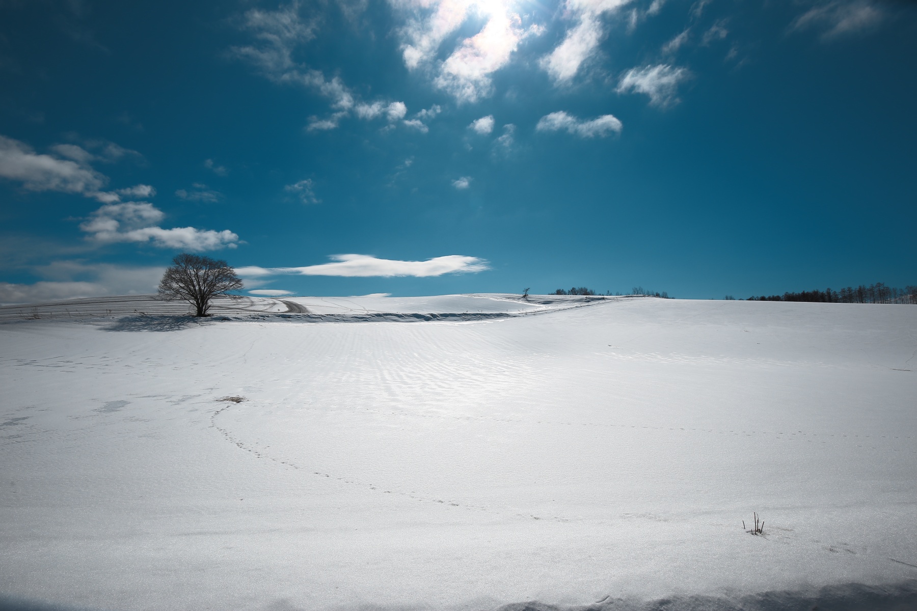 EF16-35-F4L-IS-USM-美瑛-16mm